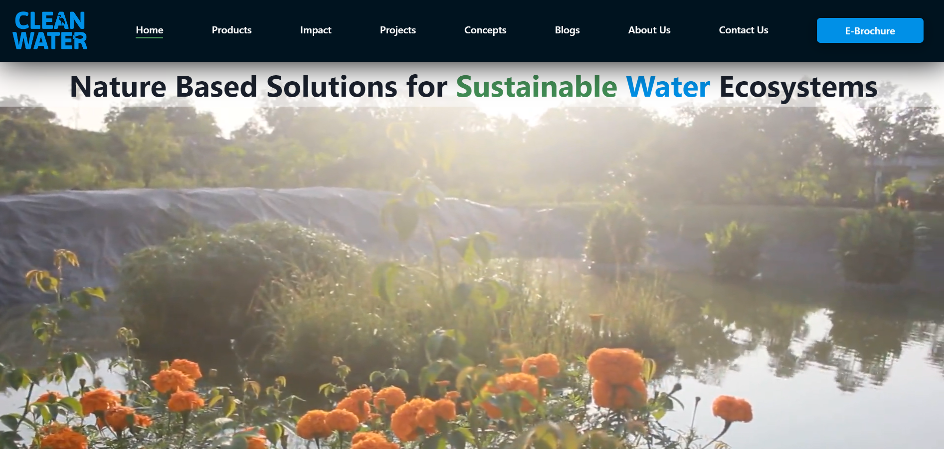 clean-water